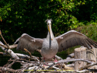 Zoo_Duisburg-128