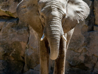 Zoo_Duisburg-132