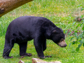 Zoo Koeln