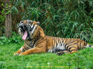Zoo_Krefeld-03