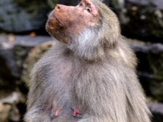 Zoo_Krefeld-05