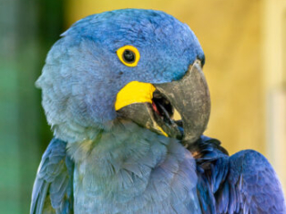 Zoo_Krefeld-22