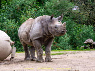 Zoo_Krefeld-24