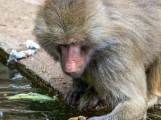 Zoo_Krefeld-27