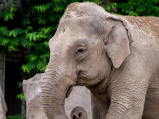 Zoo_Krefeld-40