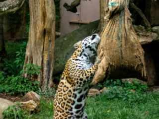 Zoo_Krefeld-53