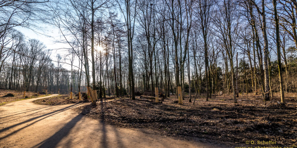 march-01