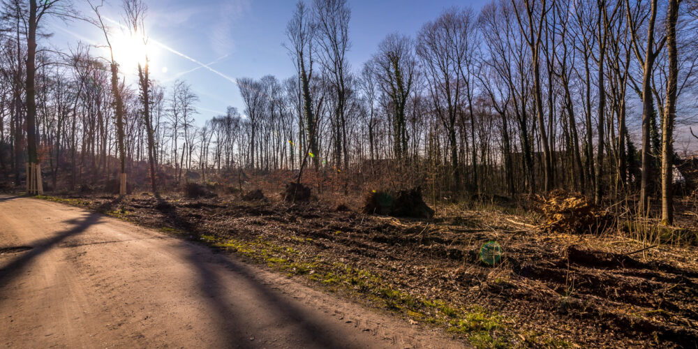 march-08
